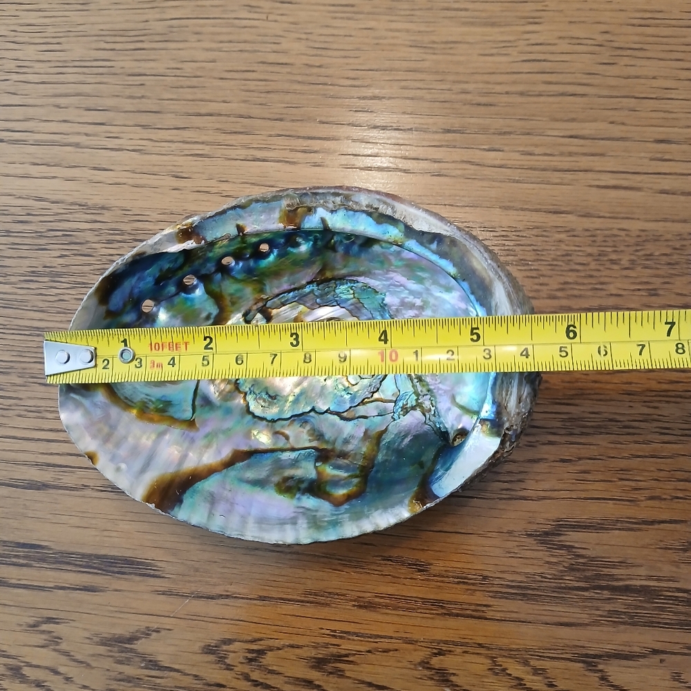 Abalone Shell 🔥💎 - Picture 3 of 4